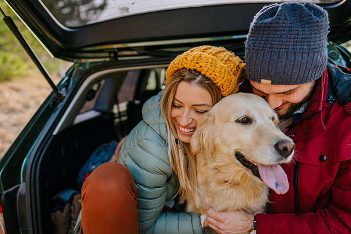 Two people with their dog in the back of a car